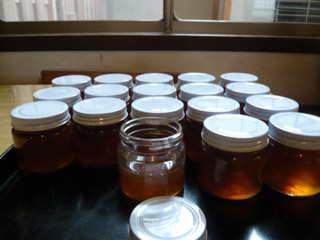 蜂蜜採り4